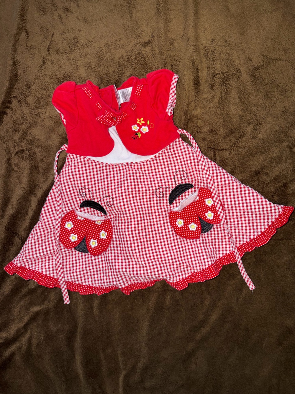 Youngland Red Gingham Ladybug Dress with Appliqués
